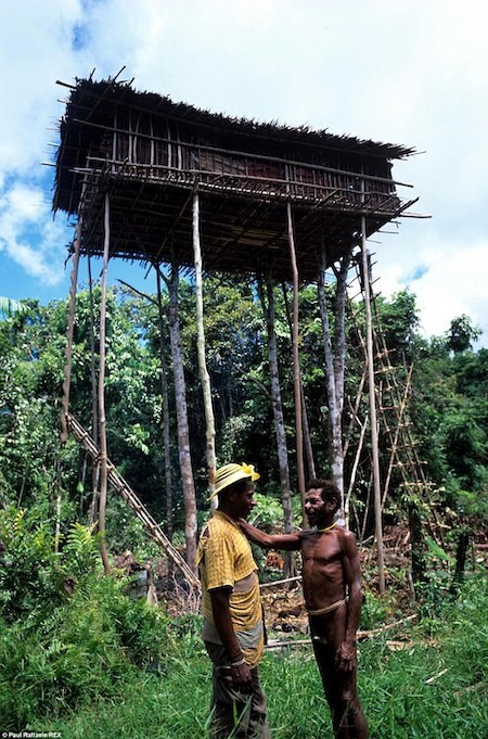 Boas (trá), một người Korowai, rời cụm nhà trên cây để sống trong làng định cư Yaniruma vào năm 2006. Ảnh: Paul Raffaele.