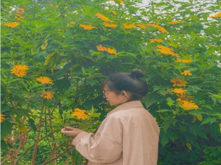 Học viện Nông nghiệp Việt Nam sở hữu không gian tràn ngập sắc hoa, tha hồ “sống ảo“