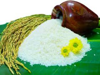 Giá lúa gạo hôm nay ngày 22/12: Giá lúa gạo xuất khẩu tăng 3 USD/tấn