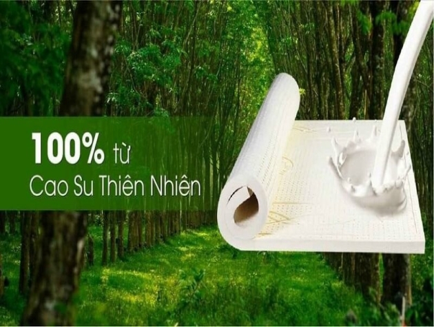 Nệm cao su thiên nhiên – giải pháp hiện đại bảo vệ môi trường